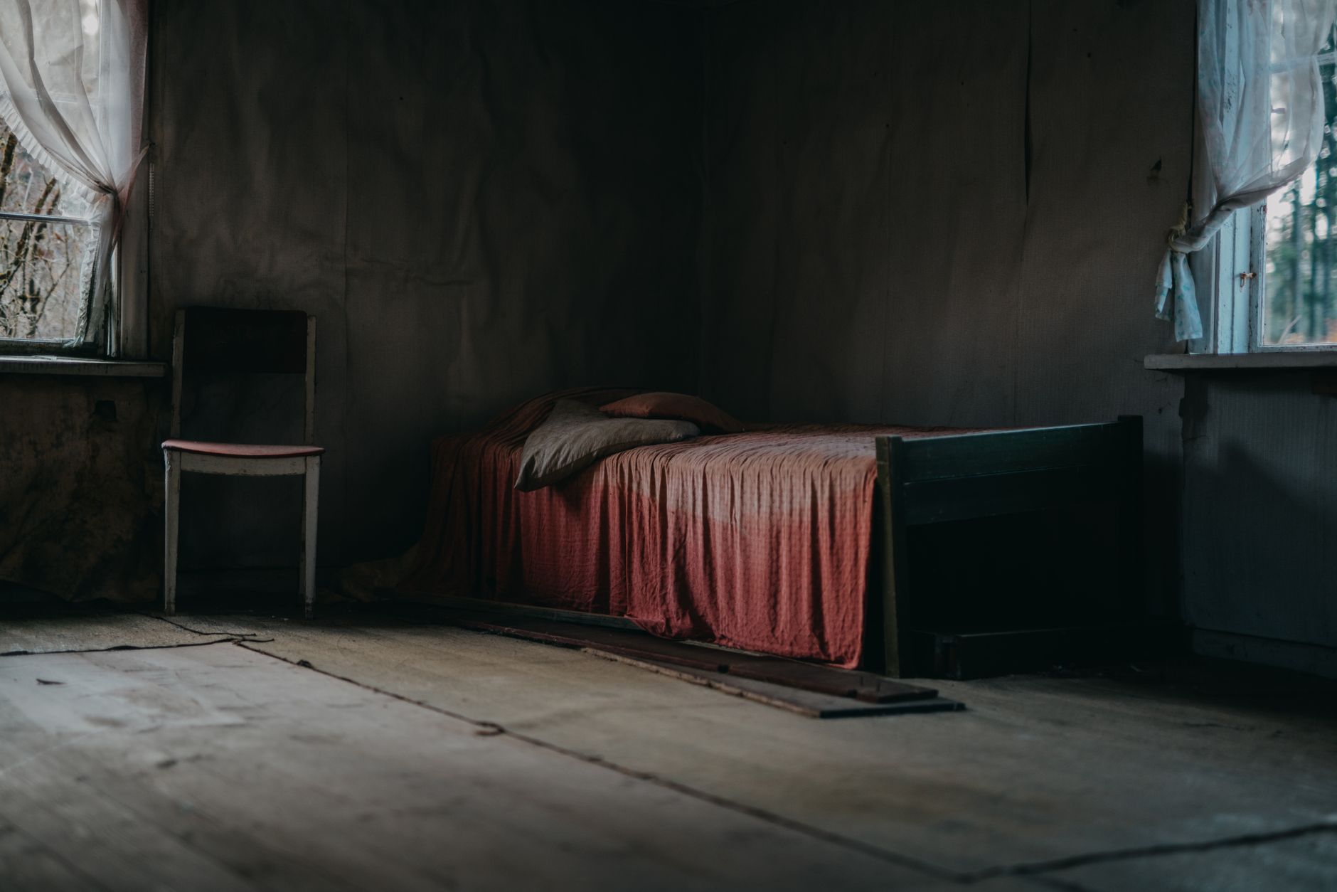 Traitement punaises de lit à Joué-lès-Tours